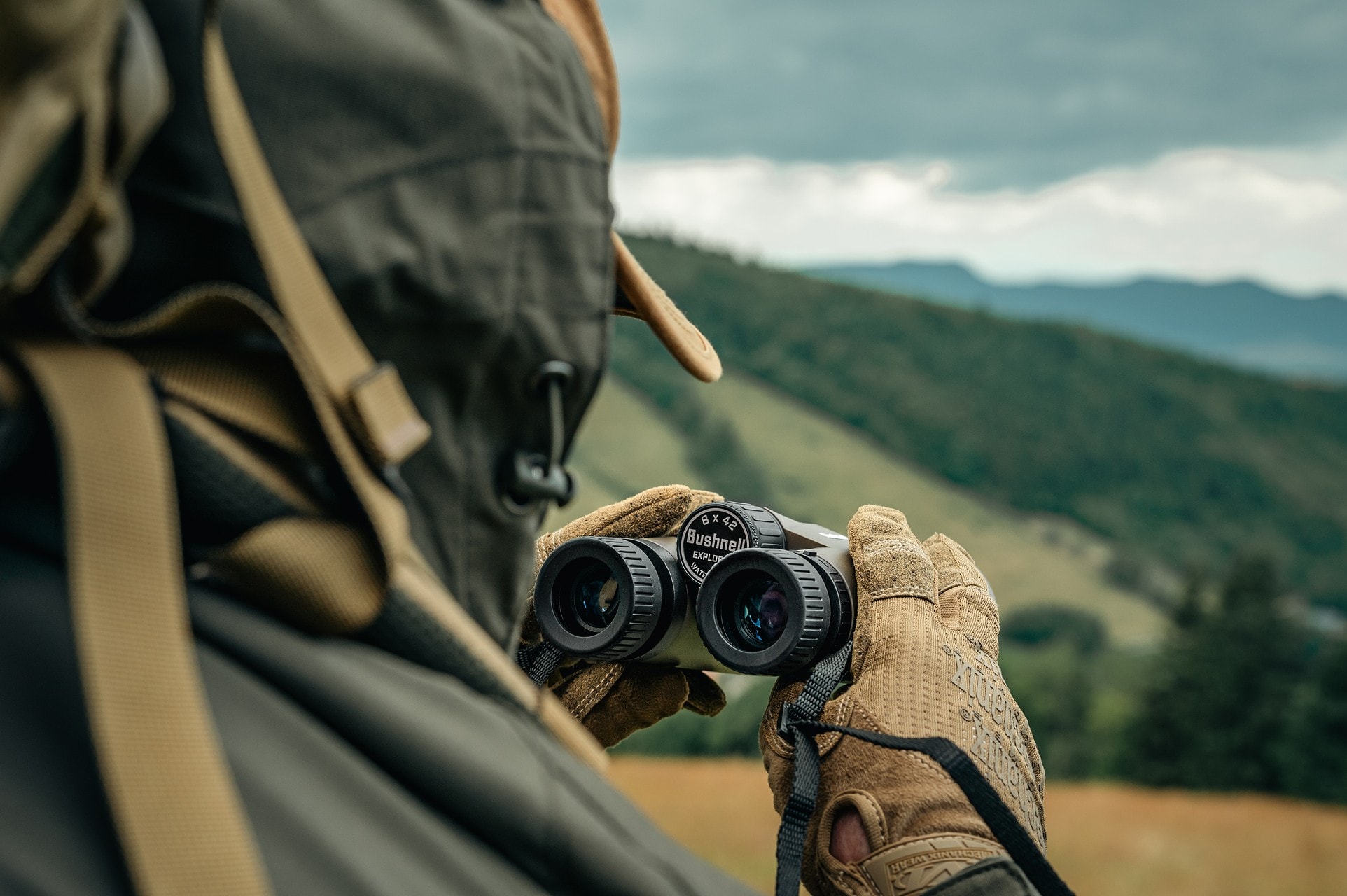 Bushnell Explorer 8x42 Binoculars - Brown