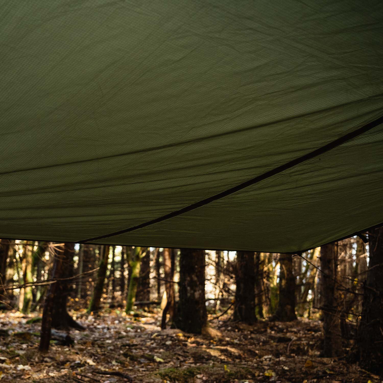 Highlander Forces Basha Tarp XL - Olive