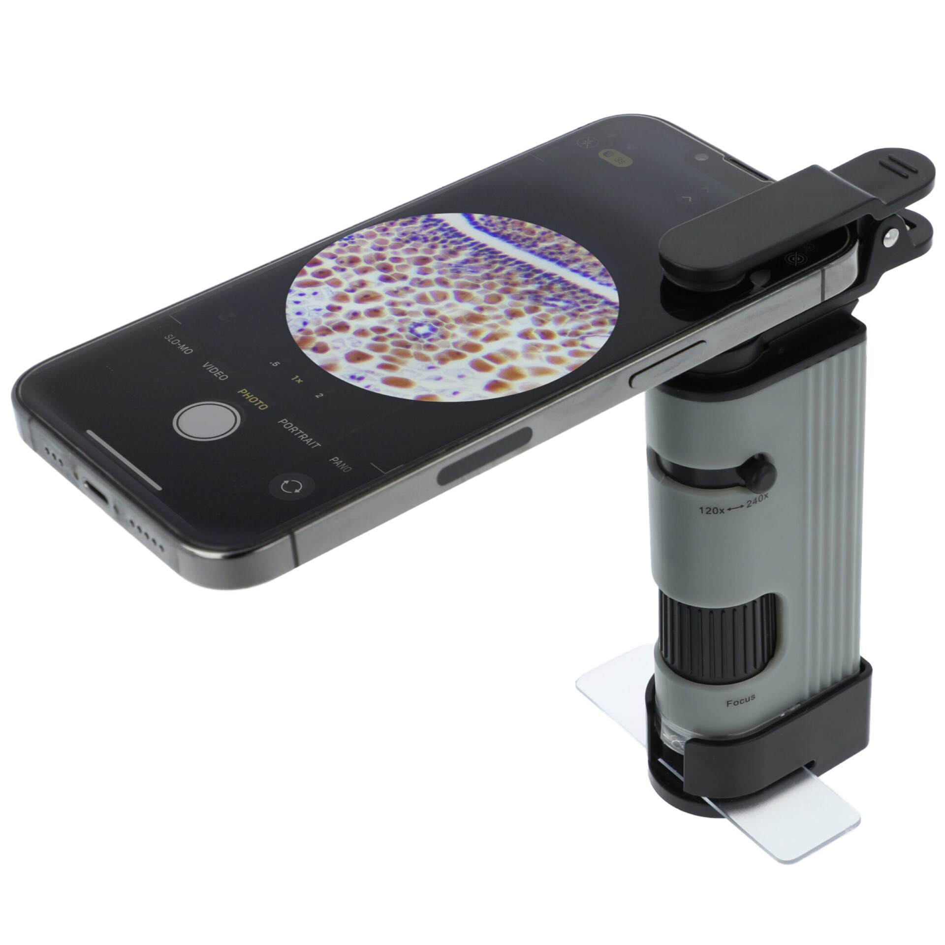 Carson MicroPic High-Resolution 120-240x Pocket Microscope