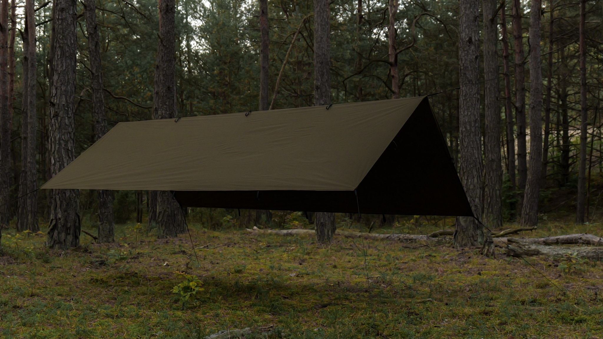 TigerWood Tarp T2 3 x 2 m Camping Tarp - Khaki