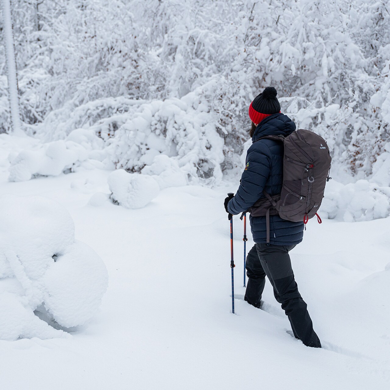 Alpinus Teno Backpack 24 l - Gray