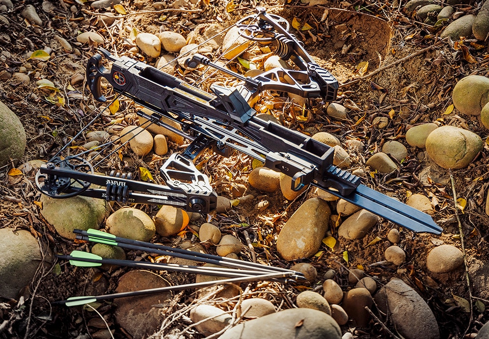 Poe Lang Whipshot Compound Bow - Black