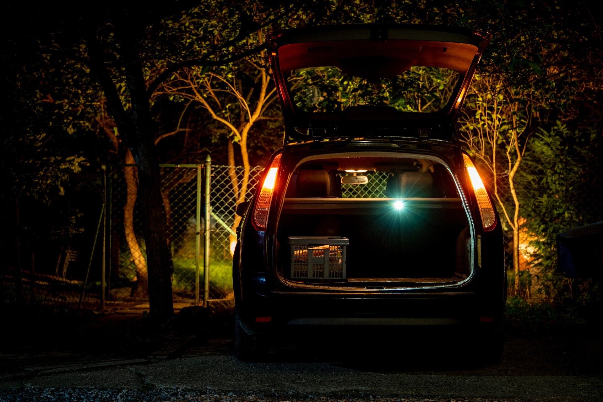 Olight Oclip Pro Fortune Snake Special Edition Rechargeable Flashlight - 500 lumens