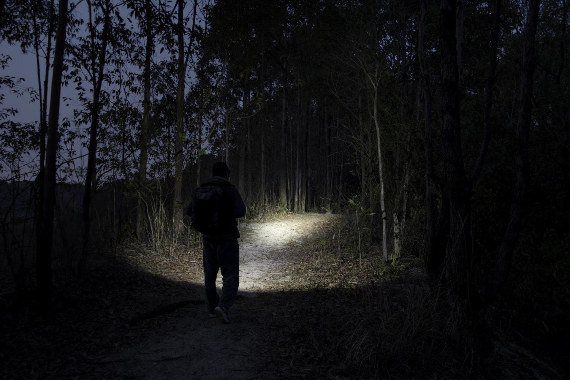 Olight Oclip Pro Purple Rechargeable Flashlight - 500 lumens