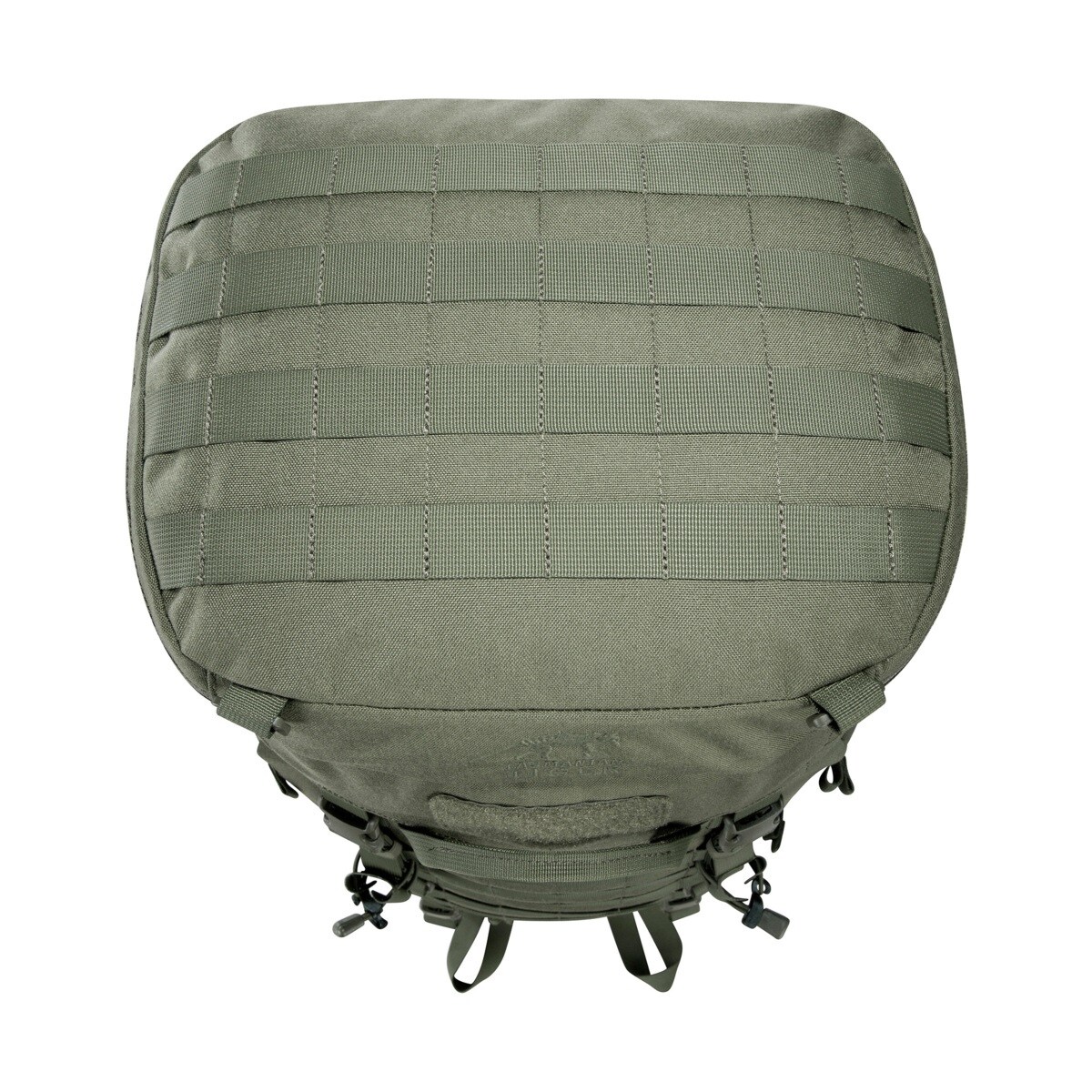 Tasmanian Tiger Base Pack FO Backpack 60 l - Olive