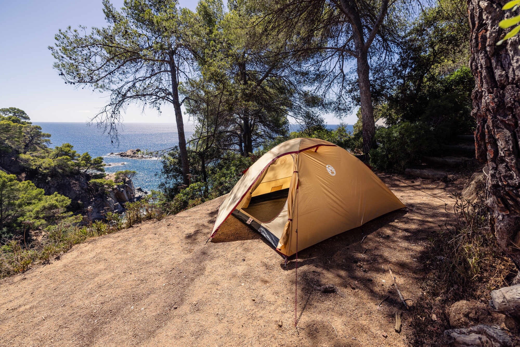 Coleman Darwin Summer 3 3-Person Tent