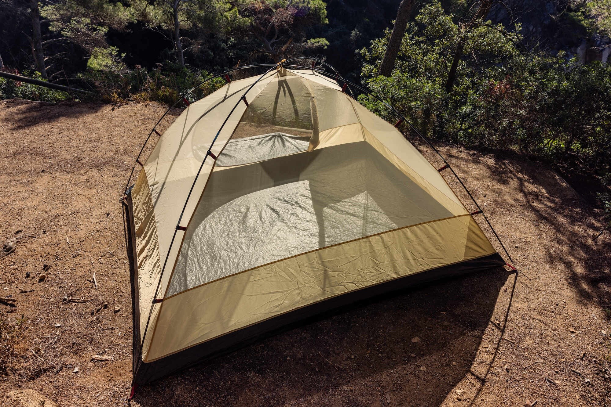 Coleman Darwin Summer 4 Plus 4-Person Tent