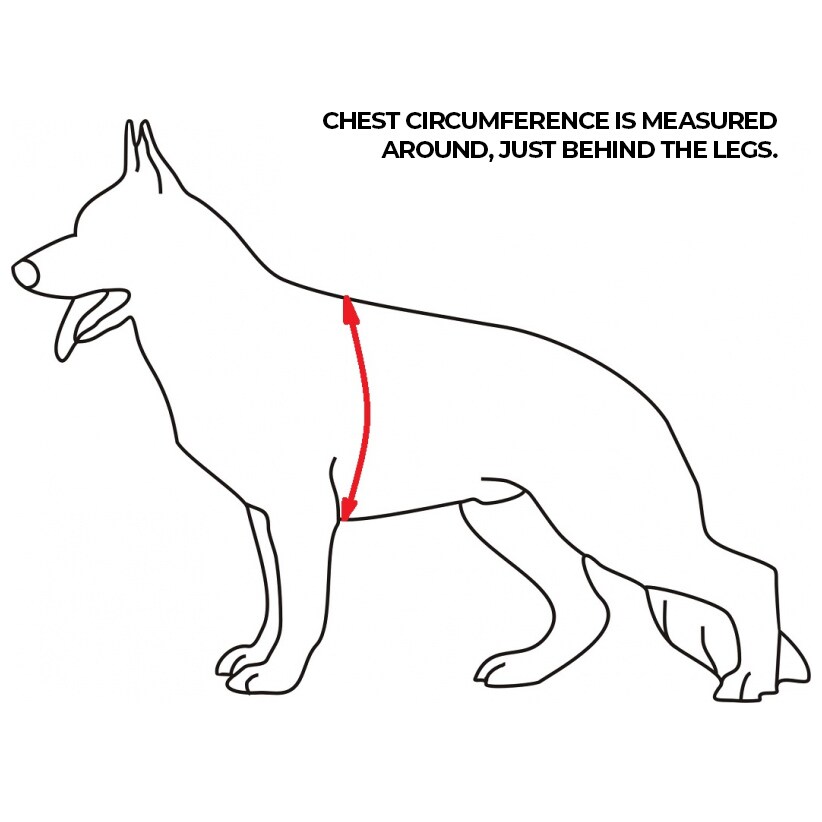 K9 Thorn Charlie Dog Harness - Coyote