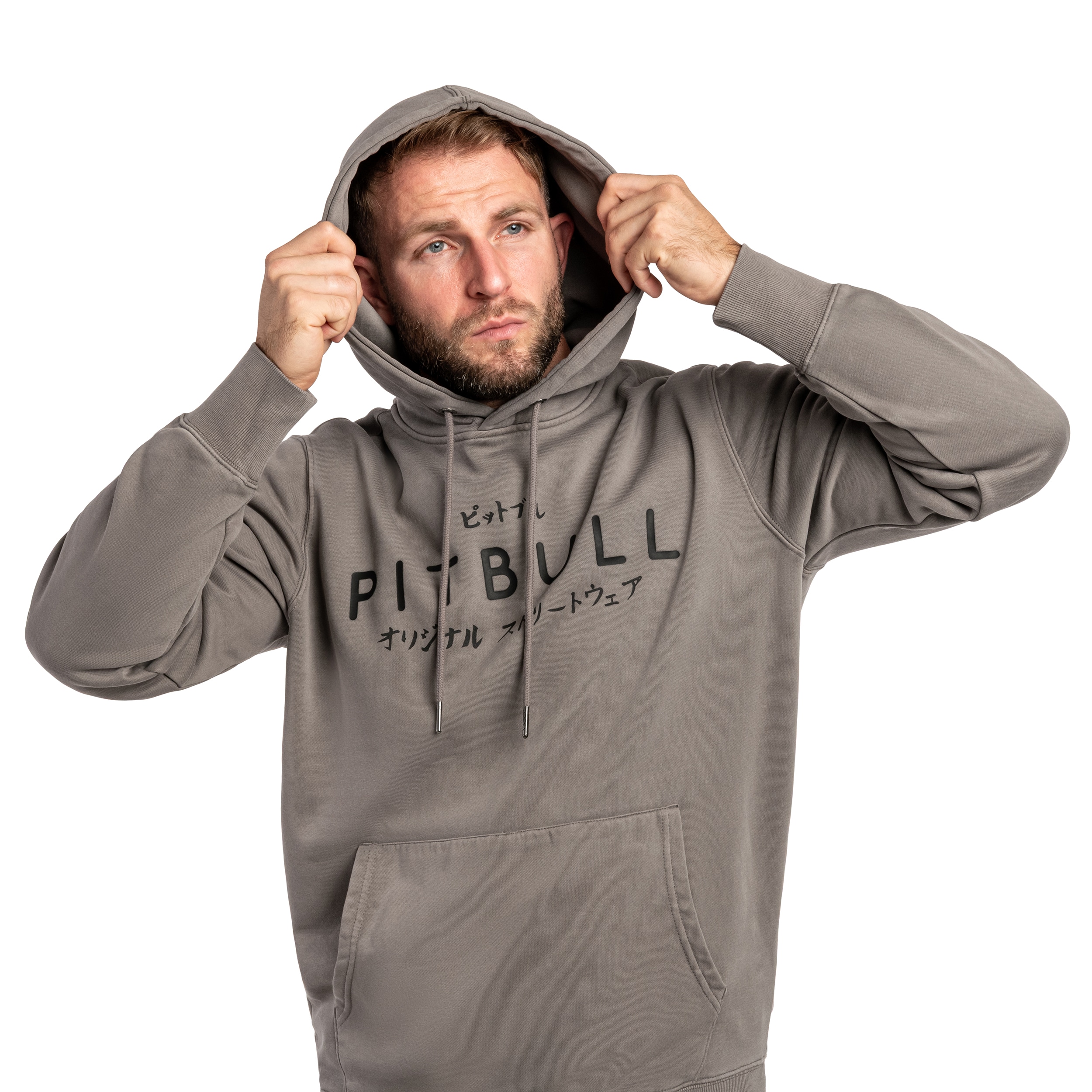 Pitbull Washed MT Fuji Hooded Sweatshirt - Grey