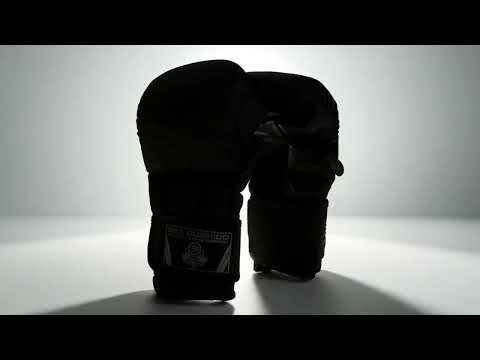 DBX Bushido Valor Series Black Master E1V9 MMA Gloves - Black