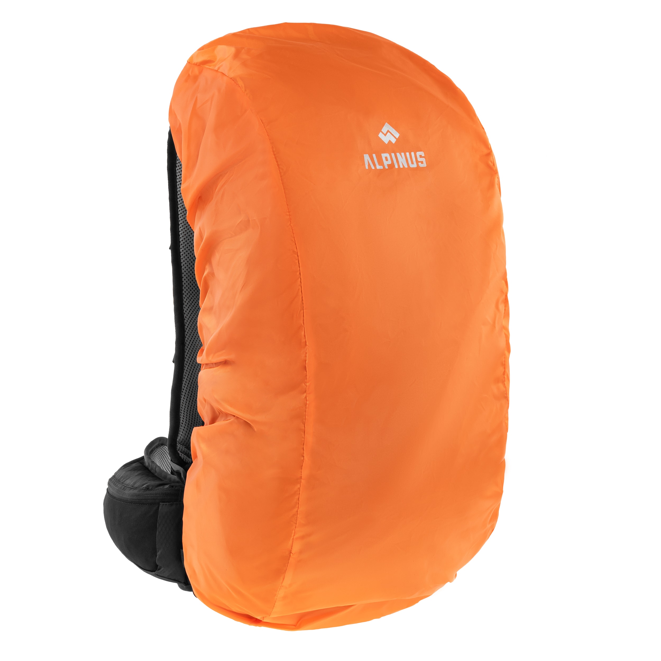 Alpinus Fatra II Backpack 30 l - Black