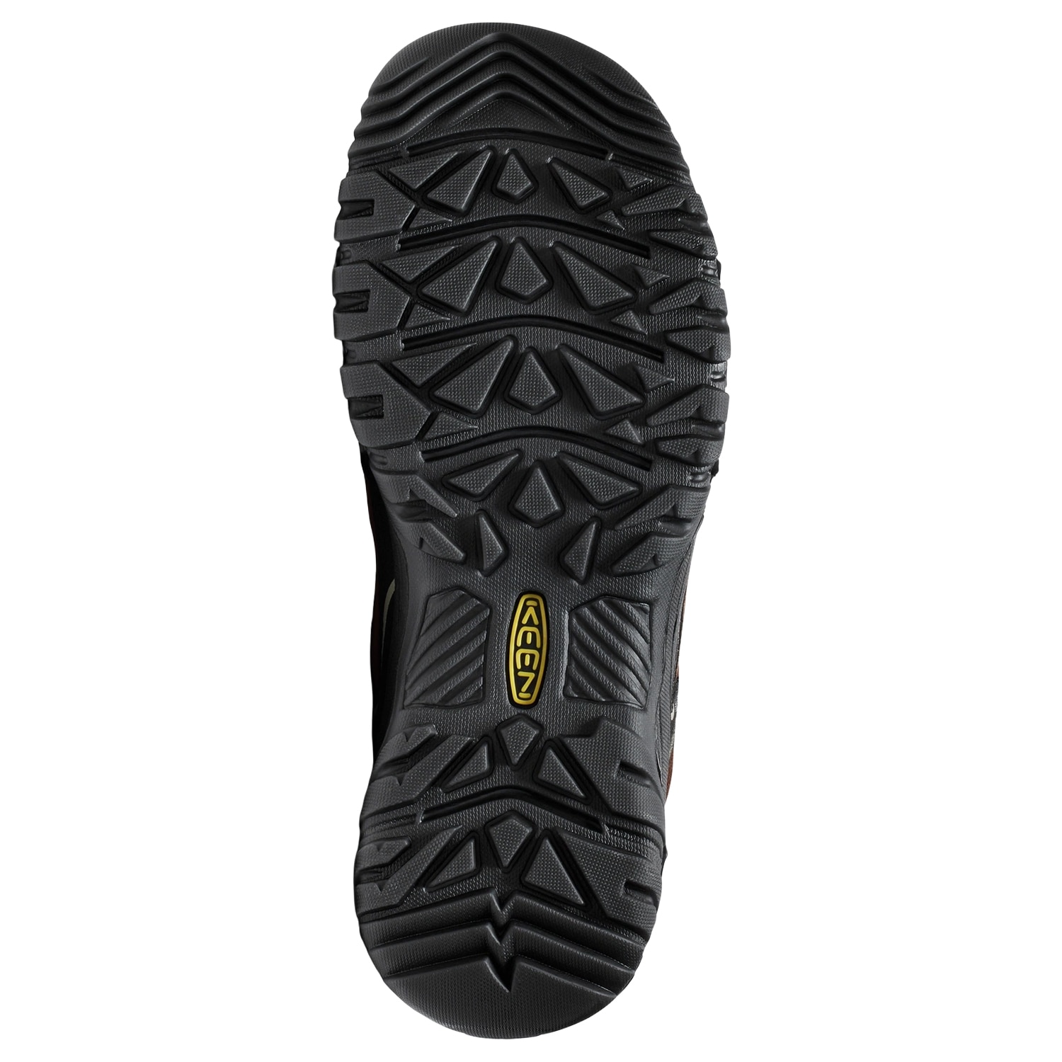 Keen Targhee IV WP Boots - Bison/Black