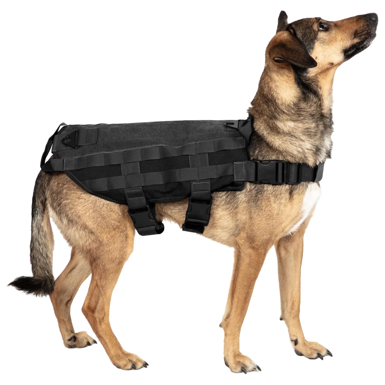Primal Gear dog tactical vest - Black