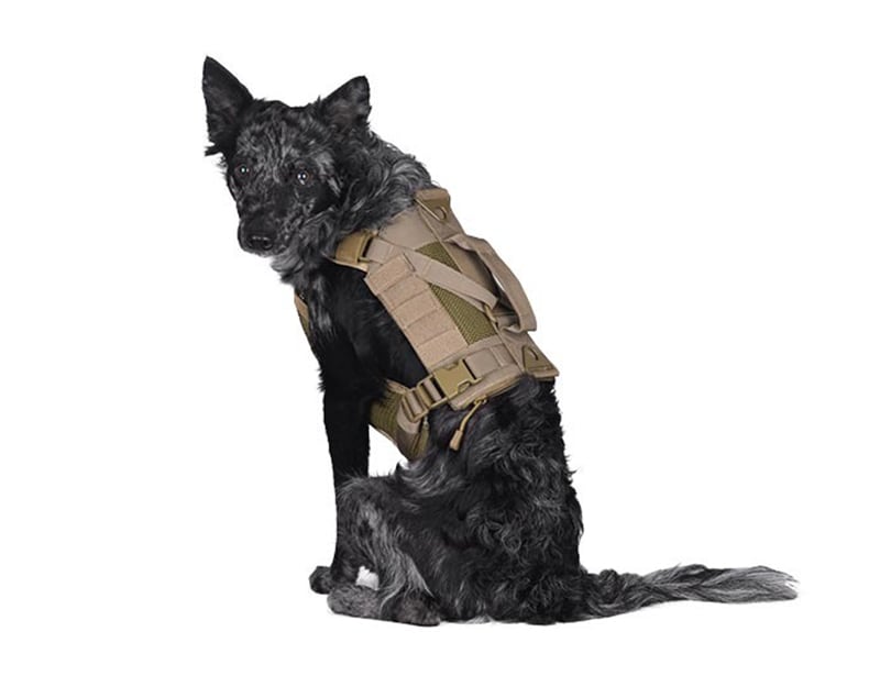 Primal Gear tactical harness for dog - Tan