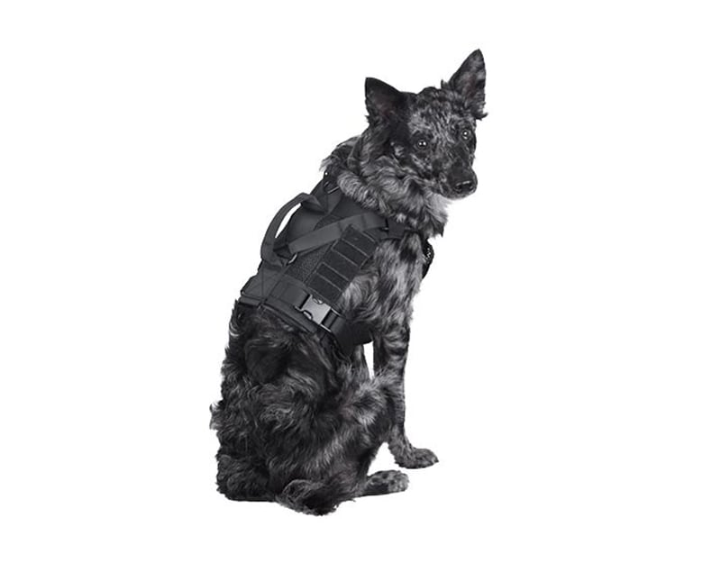 Primal Gear Tactical harness for dog - Black