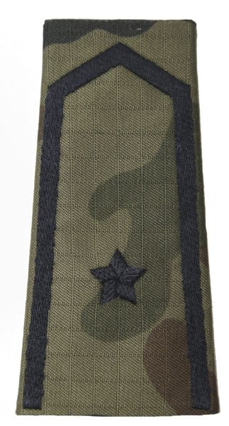 Covers for field uniform pattern 2010 - ensign - wz.93 Pantera PL Woodland