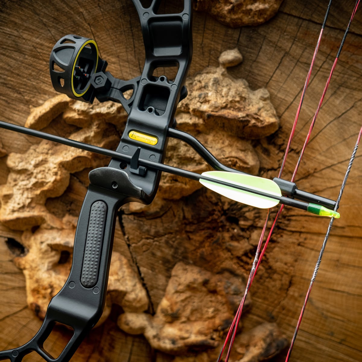 Poe Lang Rex Quad Compound Bow - Black