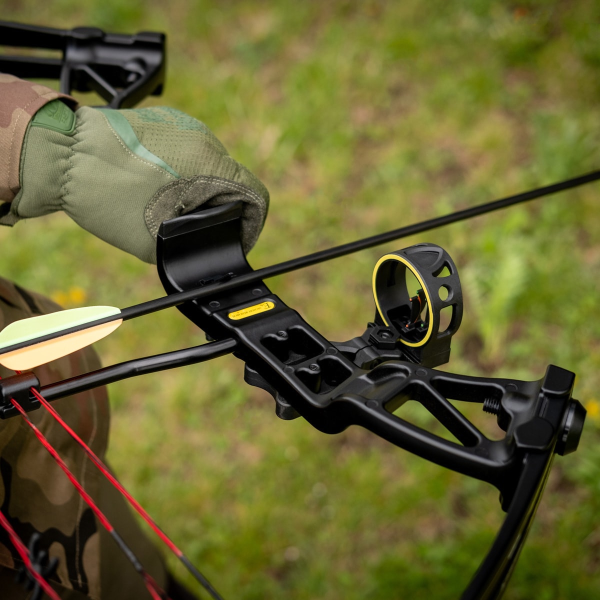 Poe Lang Rex Quad Compound Bow - Black