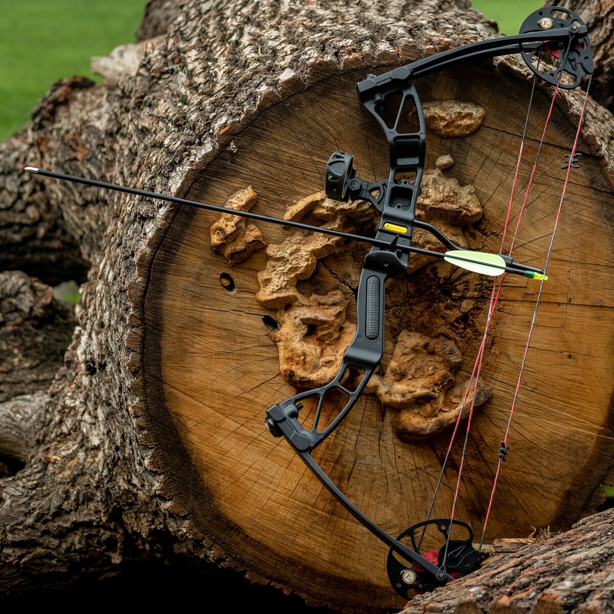 Poe Lang Rex Quad Compound Bow - Black