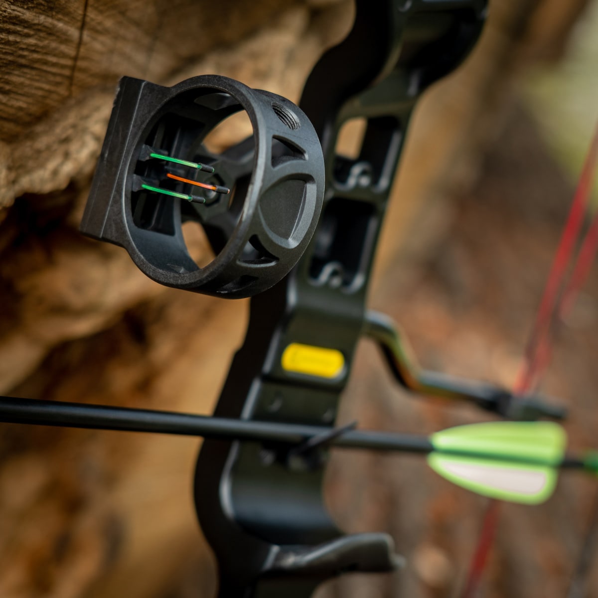 Poe Lang Rex Quad Compound Bow - Black