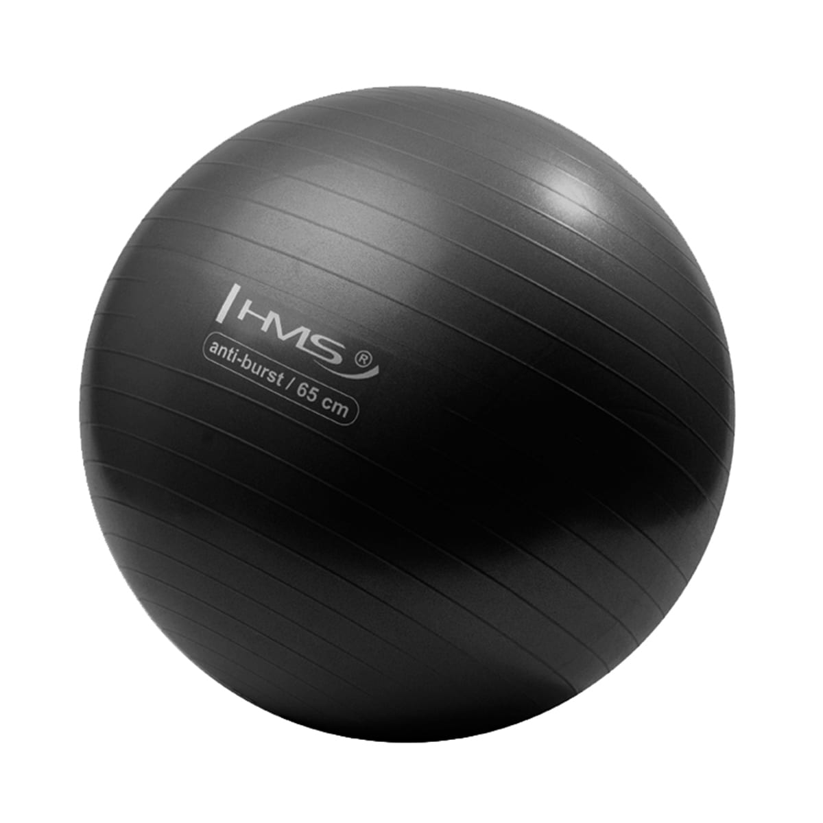 HMS YB02 Gym Ball Black - 65 cm
