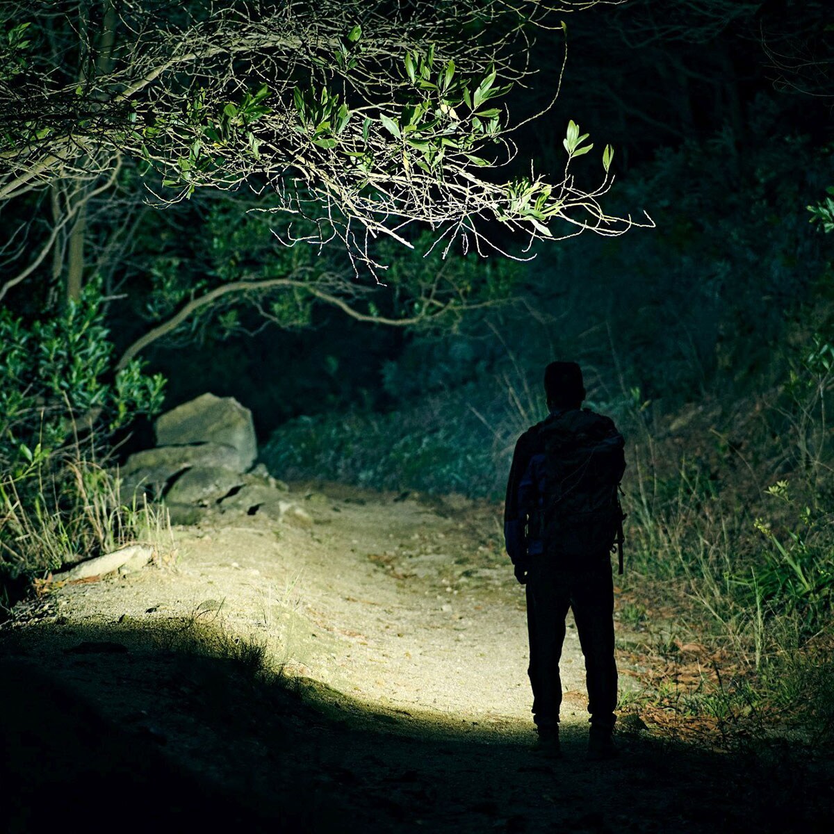 Olight Baton 3 Pro Max Cool White Orange rechargeable flashlight - 2500 lumens