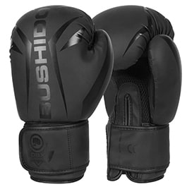 Attrezzatura e accessori per sport da combattimento