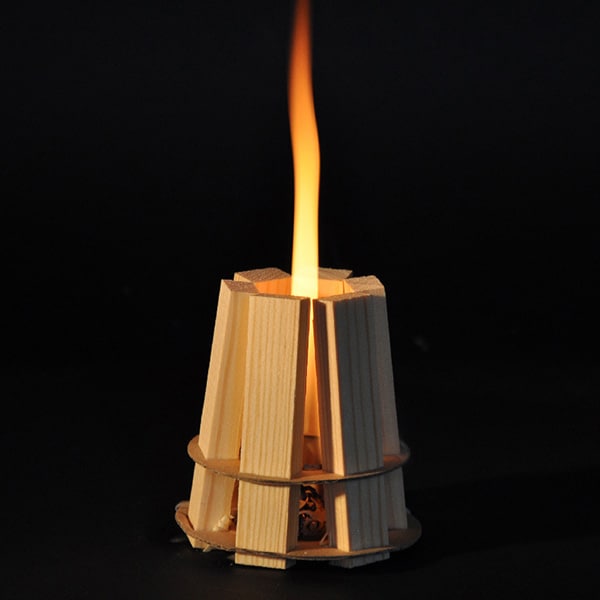 Accendifuoco Woodson Eko-ognisko - 6 pezzi