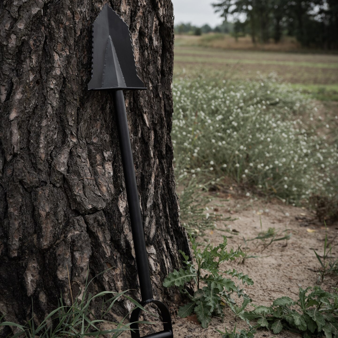 Vanga temperata Swagier S8 V2 - Black