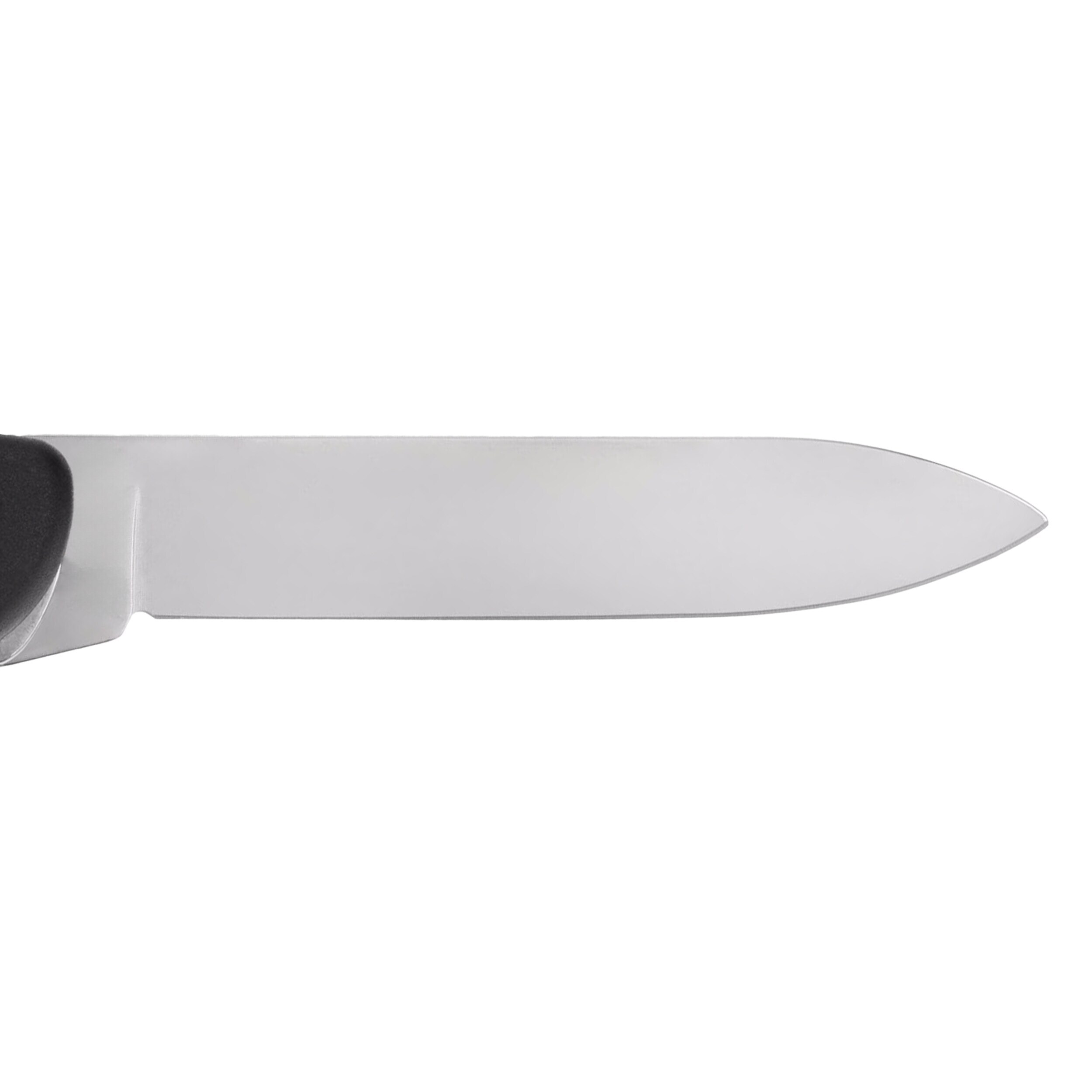 Coltello Victorinox Forester - Black