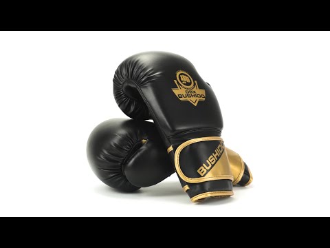 Guanti da boxe DBX Bushido B-2V10 - Nero/Oro