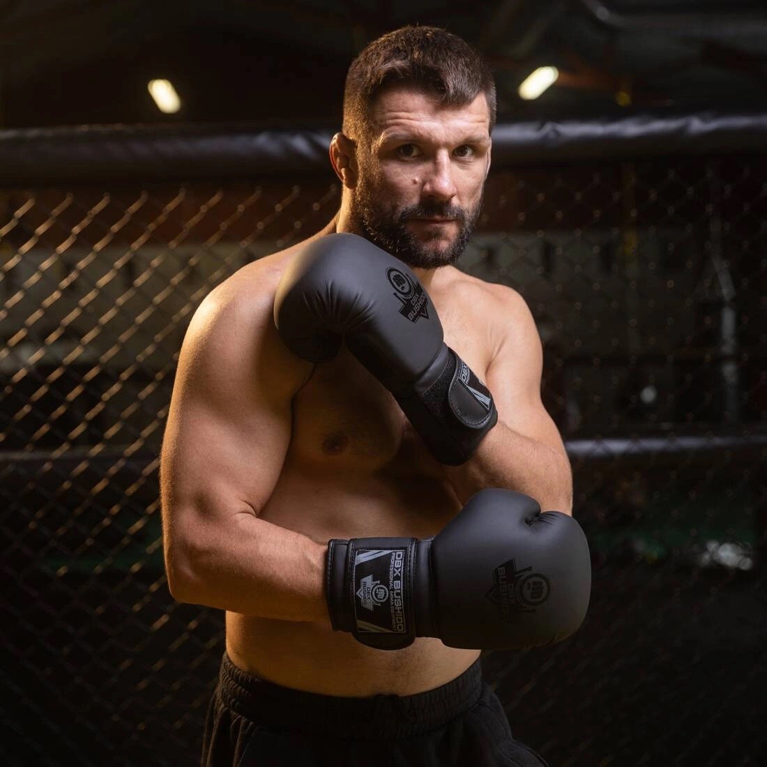Guanti da boxe DBX Bushido Black Master B-2V12 - Nero/Grigio