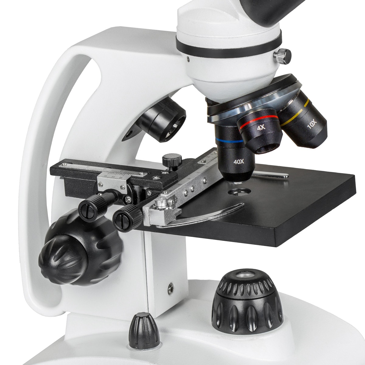 Microscopio Delta Optical BioLight 300