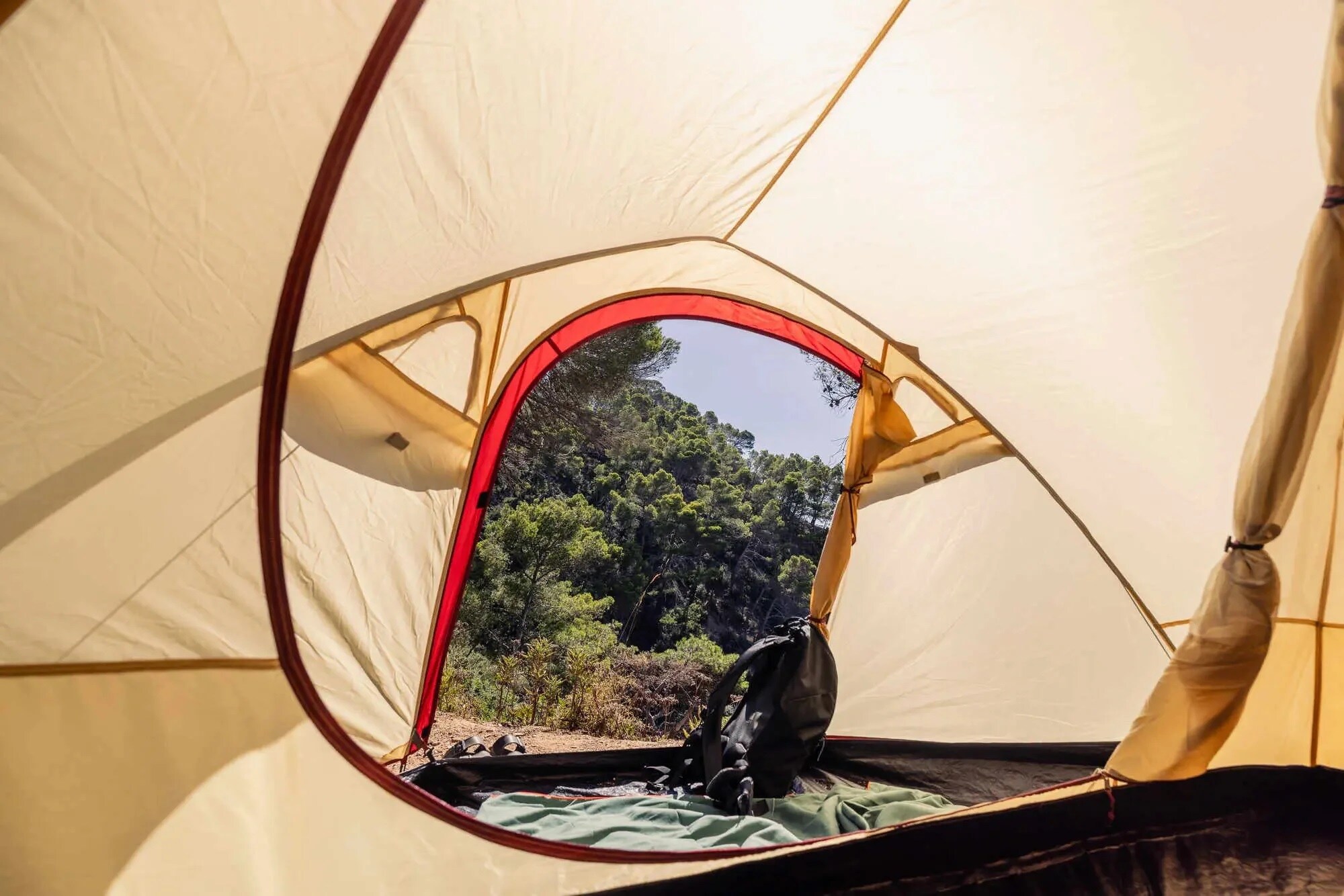 Tenda Coleman Darwin Summer 4 Plus per 4 persone