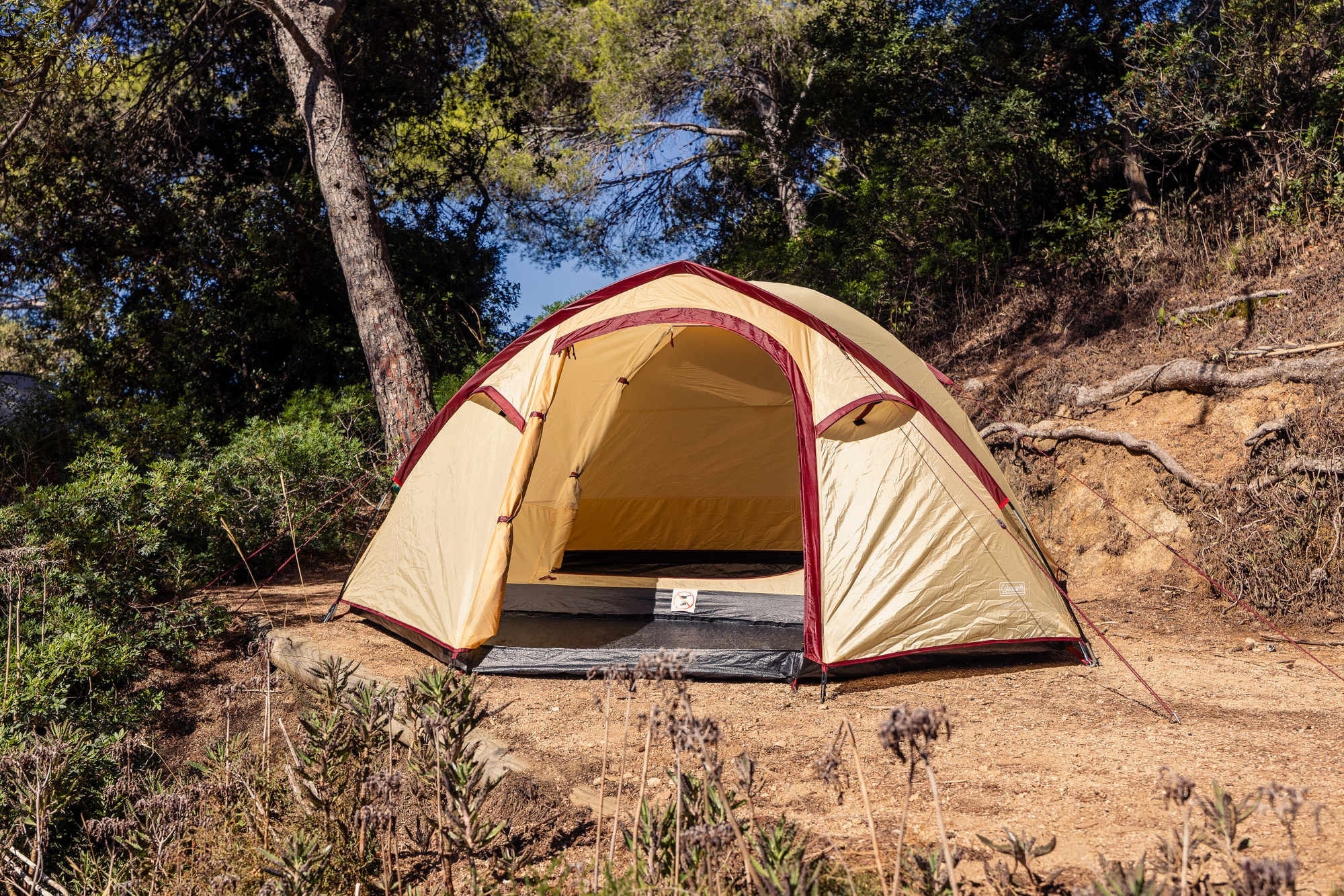 Tenda Coleman Darwin Summer 4 Plus per 4 persone