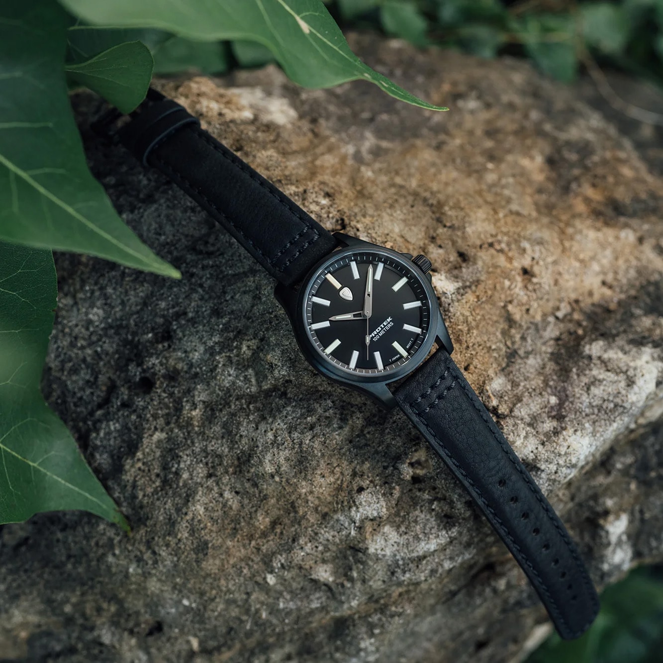 Orologio ProTek PT3002 Titanium