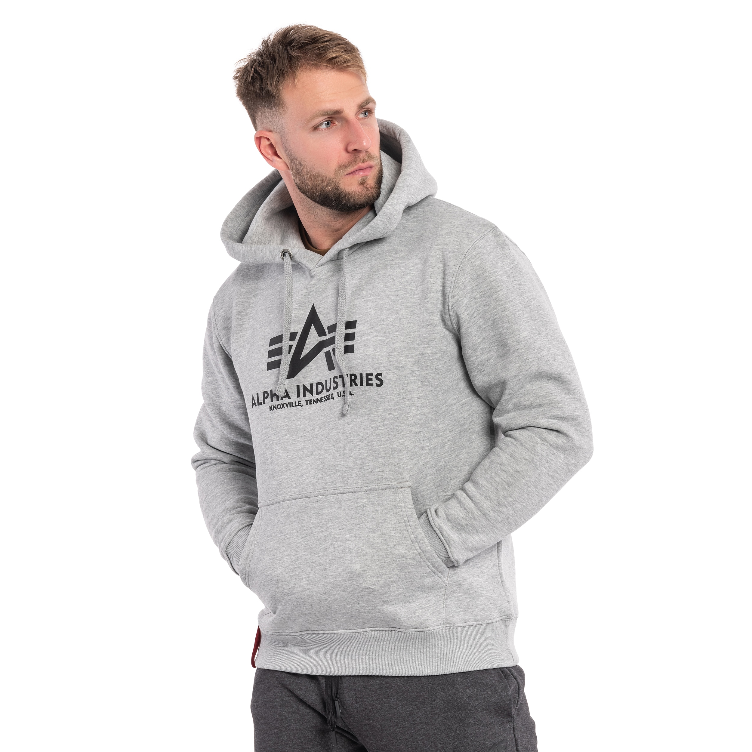 Felpa con cappuccio Alpha Industries Basic Hoody - Grey Heather