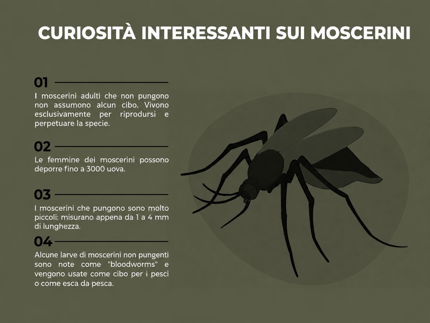 Infografica sui simulidi (mosca nera)