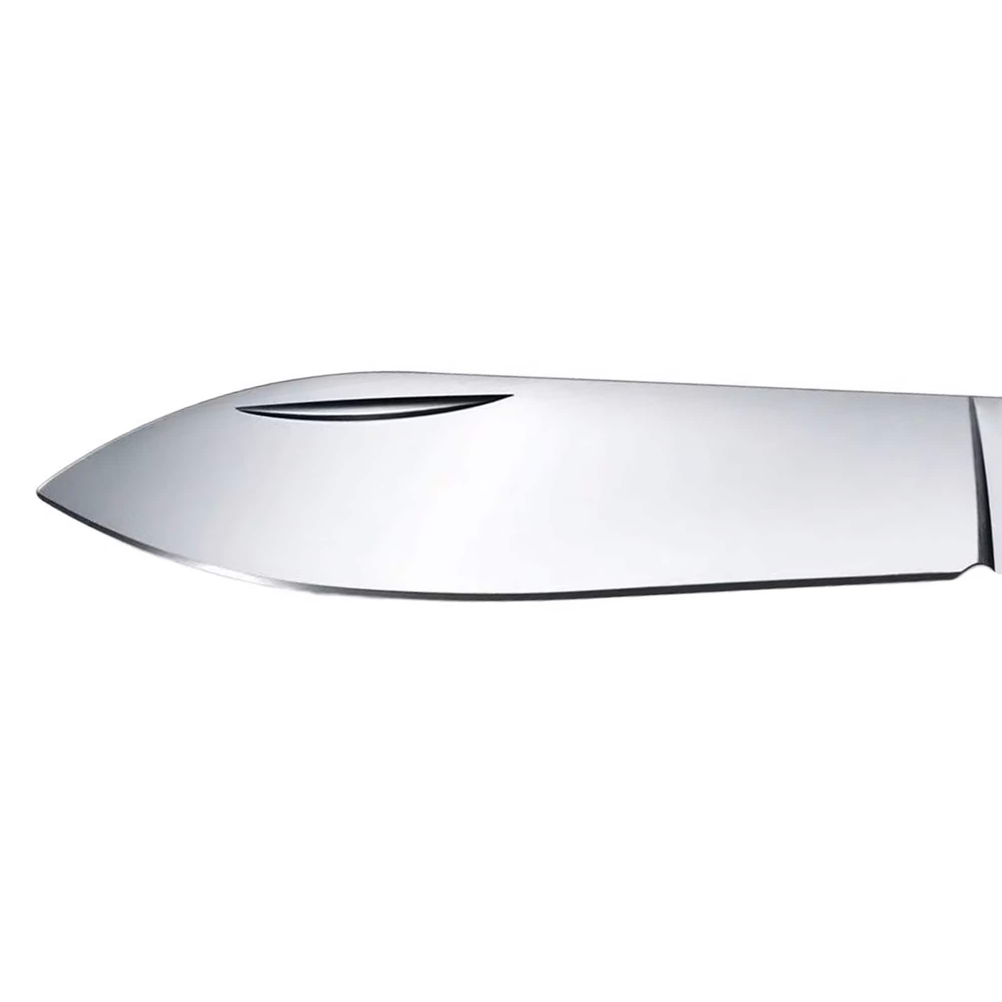 Briceag Victorinox Evowood 10