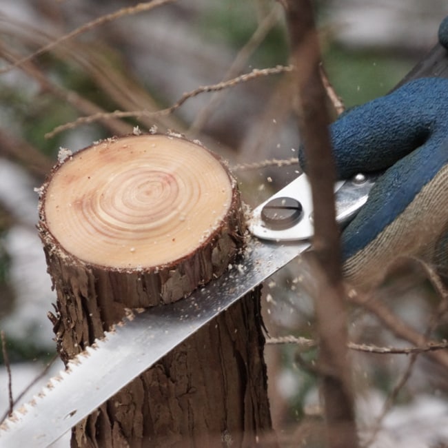 Fierăstrău pliabil Silky Gomboy 270-10