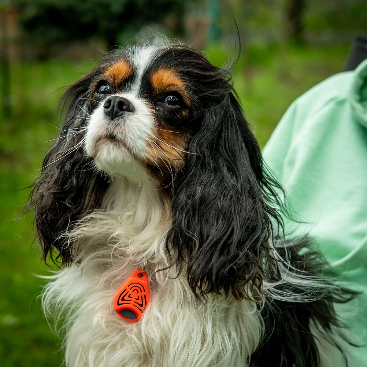 Dispozitiv pentru protecție ultrasonică împotriva căpușelor TickLess Pet - pentru animale de companie - Orange