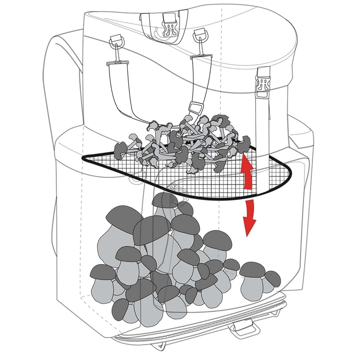 Rucsac pentru ciuperci Nature by Marsupio Forest 50 RF 50 l - Olive