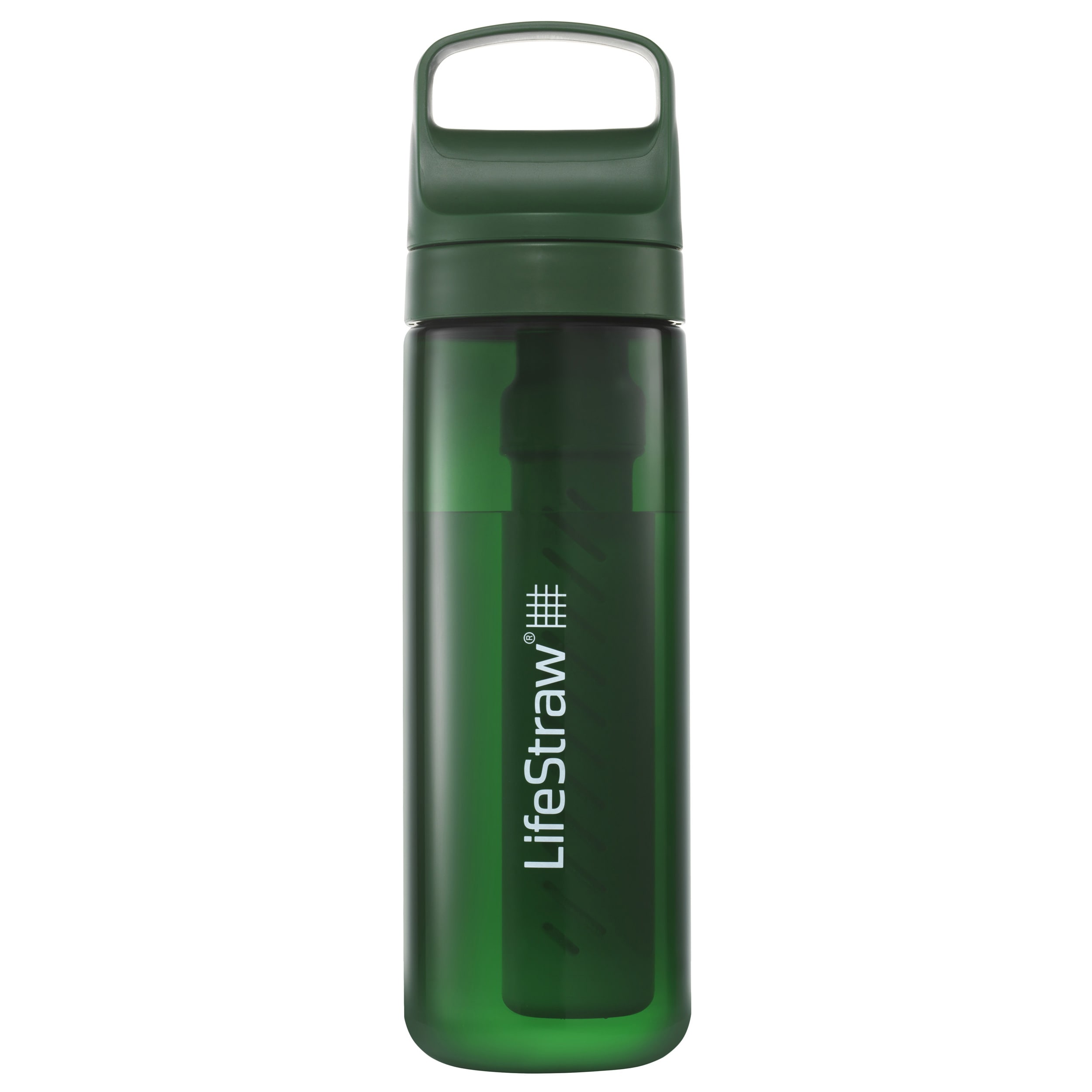 Sticlă cu filtru LifeStraw Go 2.0 Tritan 650 ml - Terrace Green