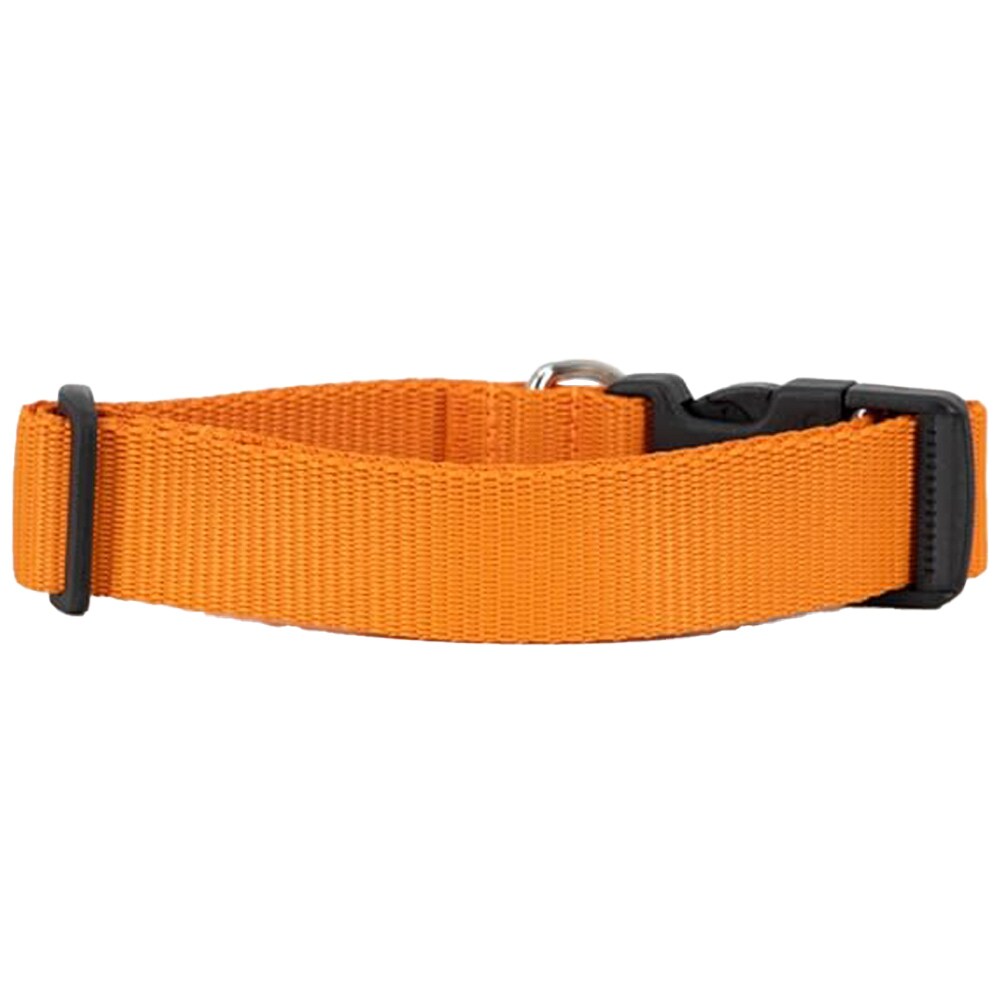 Zgardă pentru câine Alpha Industries Basic Dog-Tag Collar - Orange