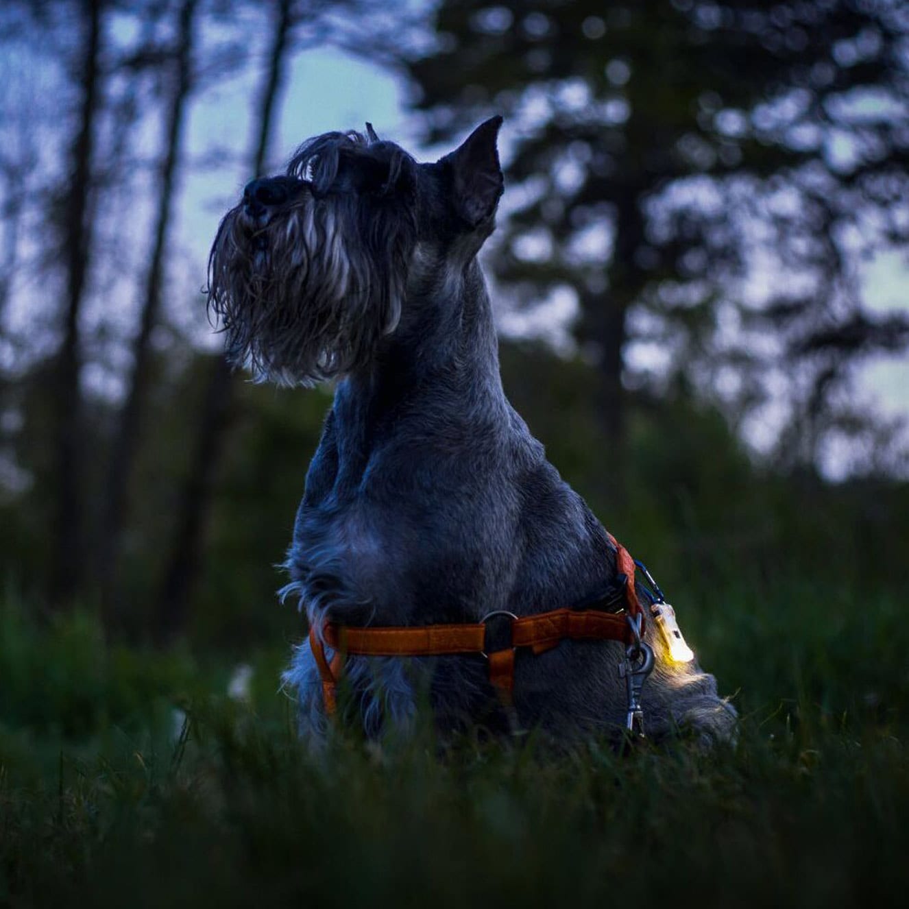 Lanternă breloc Armytek Zippy Red Ruby - 160 lumeni