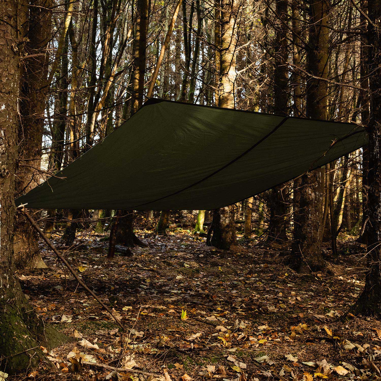 Prelată pentru camping Highlander Forces Basha Tarp XL - Olive
