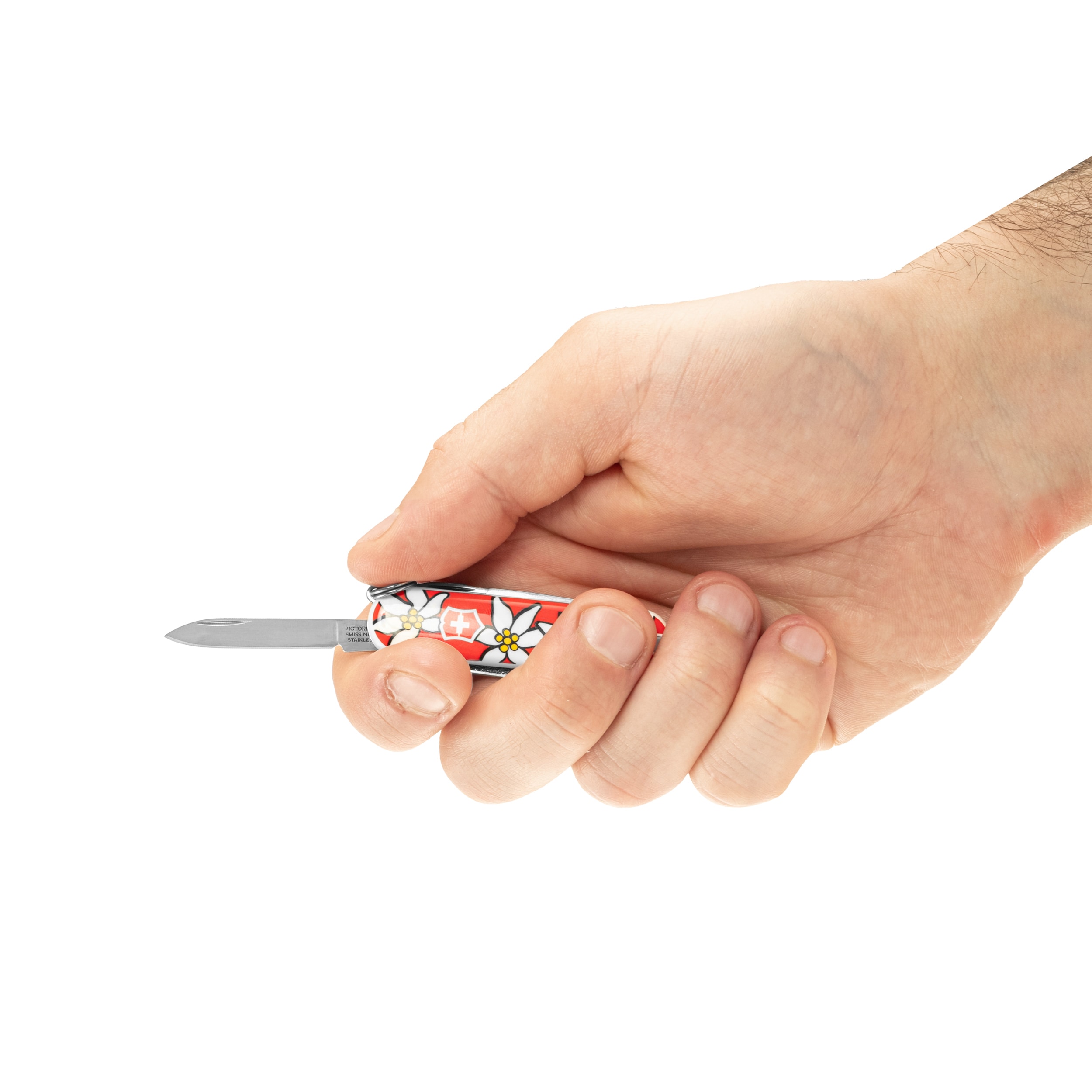 Briceag Victorinox Classic SD - Edelweiss