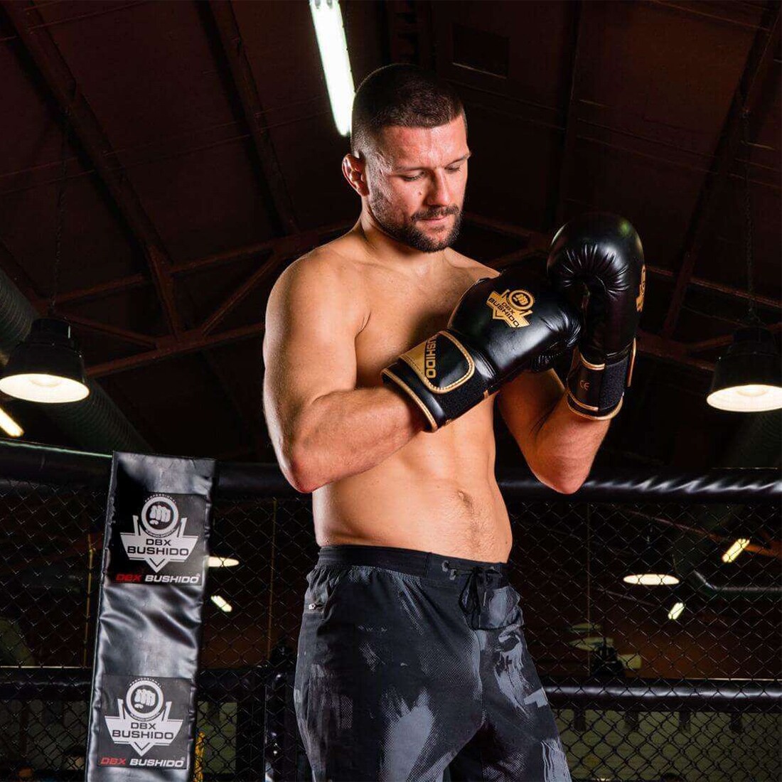 Mănuși de box DBX Bushido B-2V10 - Negre/Aurii