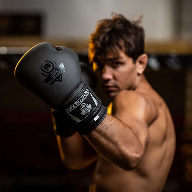 Mănuși de box DBX Bushido Black Master B-2V12 - Negre/Gri
