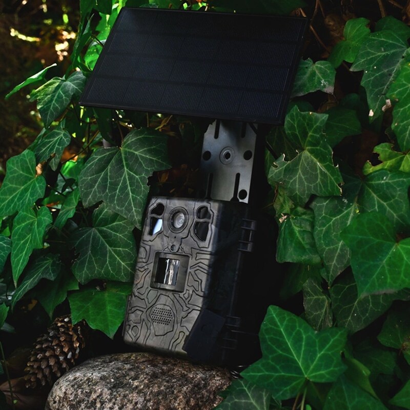 Capcană foto TopHunt H6 - Dark Green